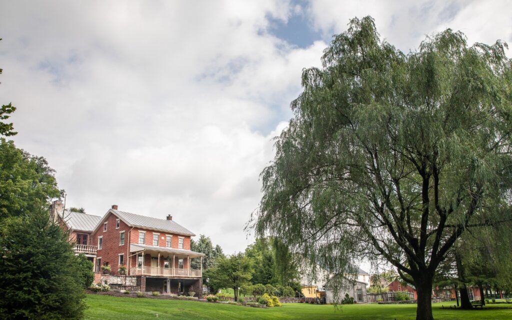 A beautiful outdoor wedding venue with a big willow tree in front