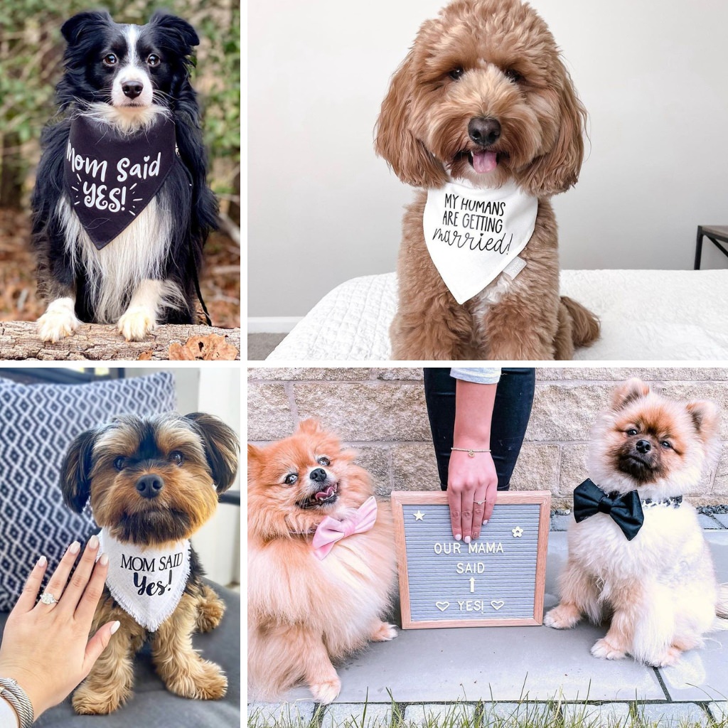A photo collage that shows dogs wearing bandanas that say their owners are getting married. 