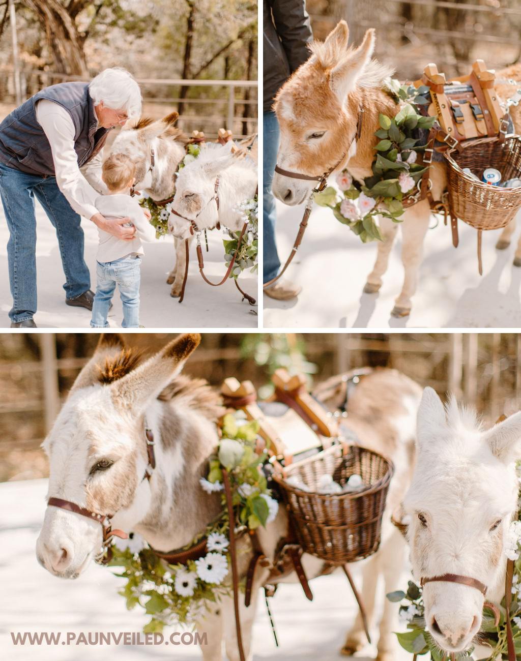 Two donkeys carrying pouches with drinks to serve to wedding guests