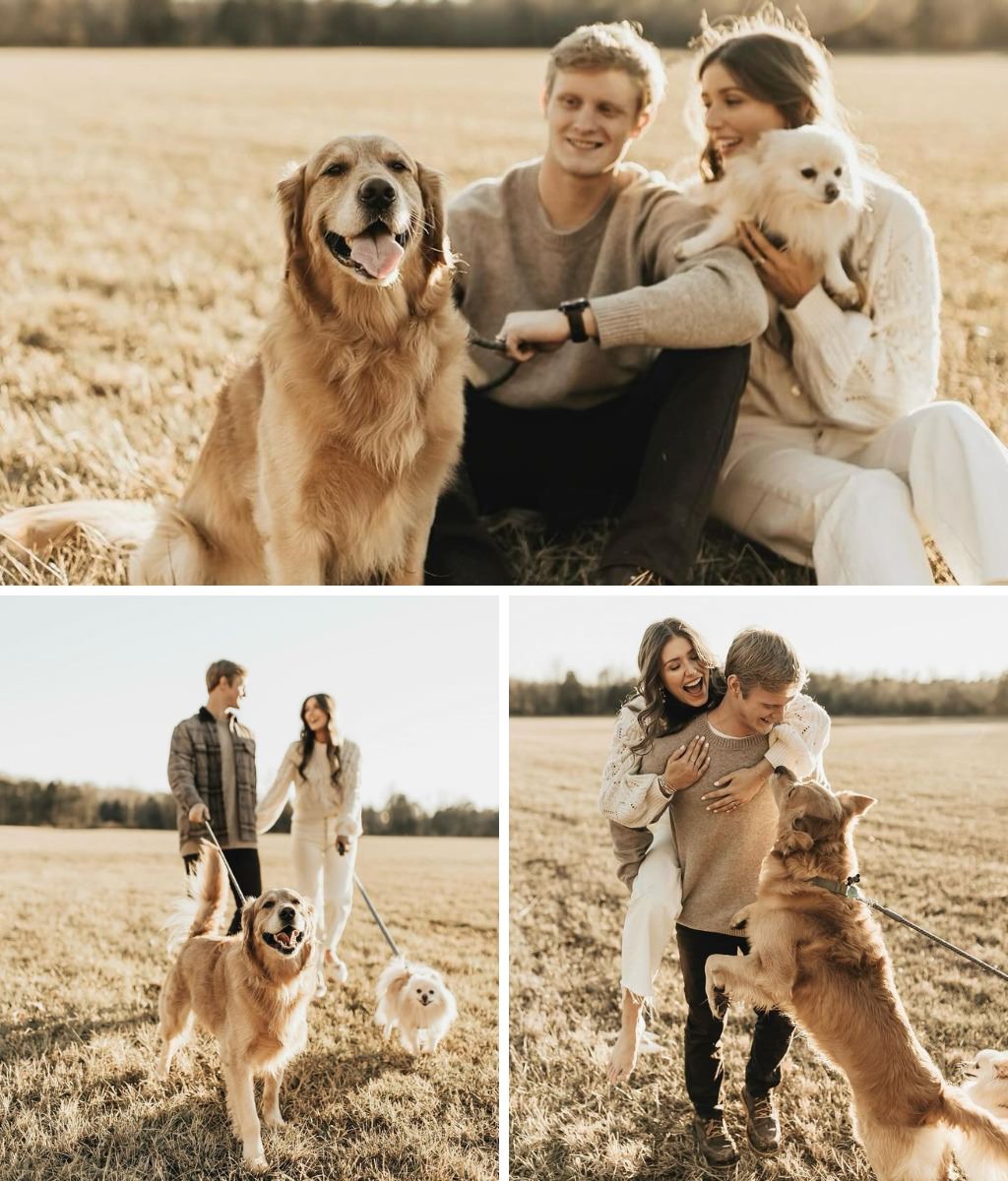 A couple posing and playing with their golden retriever dog while taking some engagement photos in a field