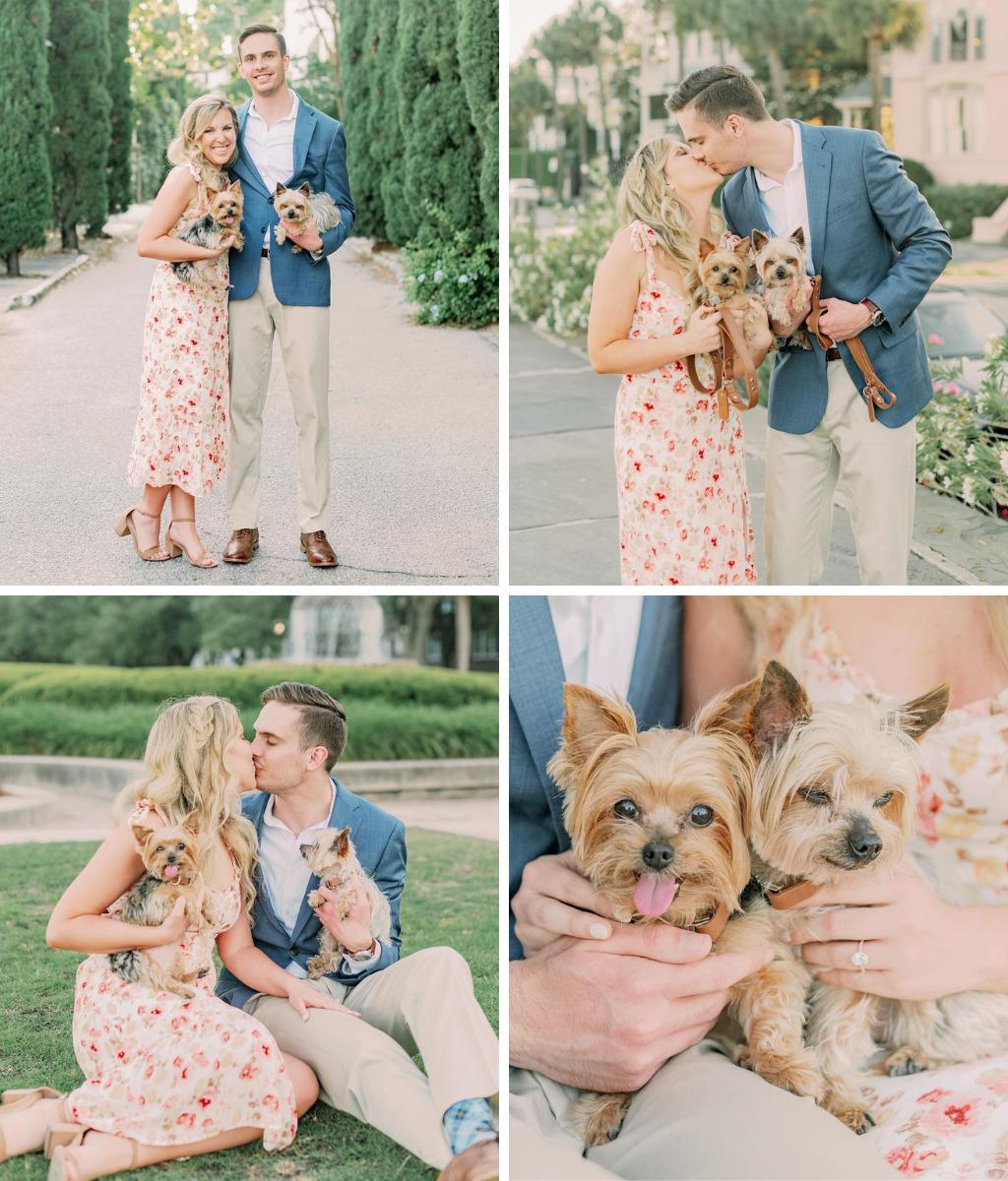 A couple posing for engagement photos while holding their two little dogs