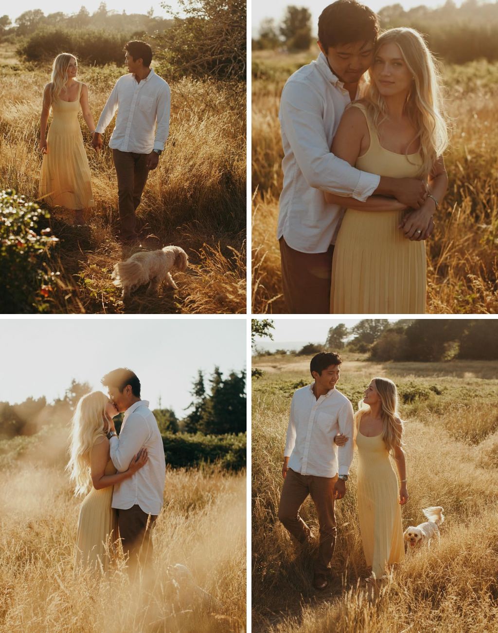 A couple posing for their engagement pictures in a field with their small dog. The girl is wearing a yellow dress.